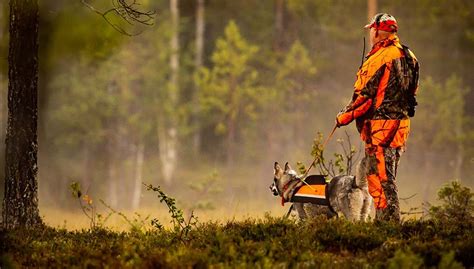 6 Best Dog Hunting Vest Brands of 2020 (And Your Buyer's Guide)