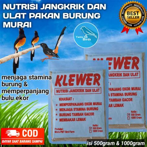 Jual KLEWER PAKAN SEKALIGUS NUTRISI JANGKRIK ULAT PAKAN MURAI