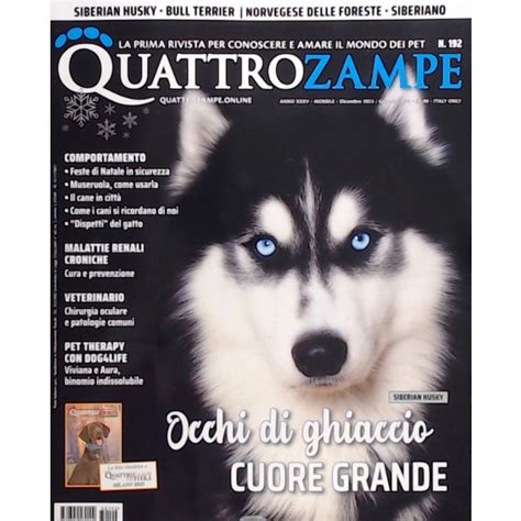 Quattro Zampe Siberian Husky 30192 30 11 2023