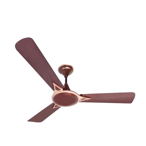 Buy Crompton Avancer Prime 1200 Mm 48 Inch Decorative Ceiling Fan