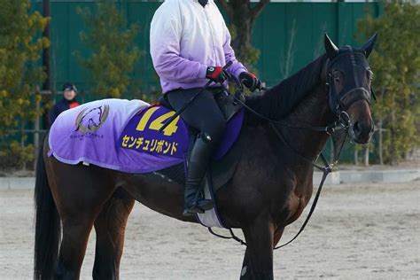 【ホープフルs】武豊騎手がセンチュリボンドで史上初のjra平地gⅠ完全制覇に挑む｜競馬ニュース｜競馬予想のウマニティ