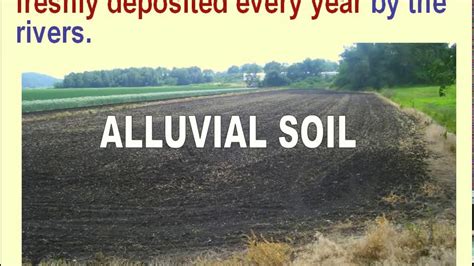 Alluvial Soil In India Map