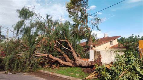 Temporal En Bah A Blanca Expertos Del Conicet Analizan El Fen Meno