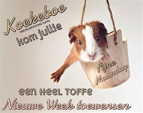 Koekeboe Kom Jullie Een Heel Toffe New Week Tai Chi For Beginners