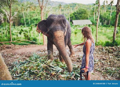 Algunas Experiencias No Pueden Explicarse Foto De Un Joven Turista Admirando A Un Elefante En