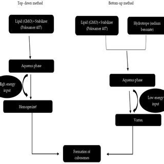 Diagrammatic Representation Of Cubosomes Preparation Techniques
