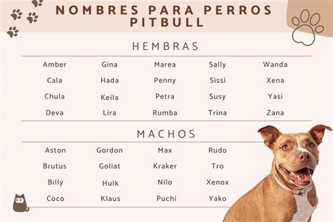 Nombres Para Perros Pitbulls