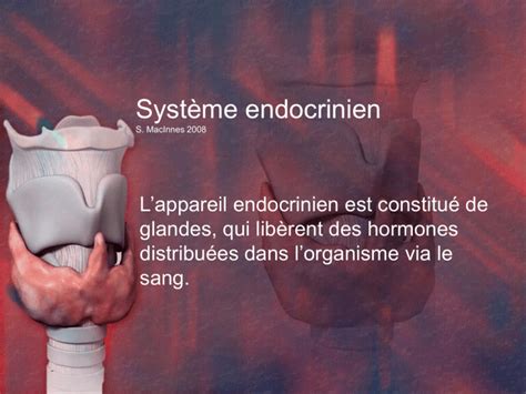 Le Syst Me Endocrinien Hrsbstaff Ednet Ns Ca