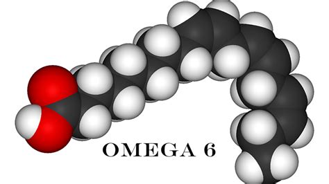 What is Omega 6?