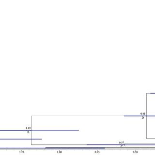 Bayesian Phylogenetic Tree For Schizothorax O Connori Based On