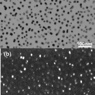 Bright Field A And Corresponding Dark Field TEM Images B For