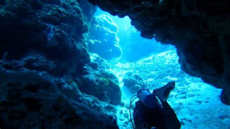 Diving Cozumel Swim Through Caves Dramatic Canyons Coral Reefs And Night Dive 1080p Youtube