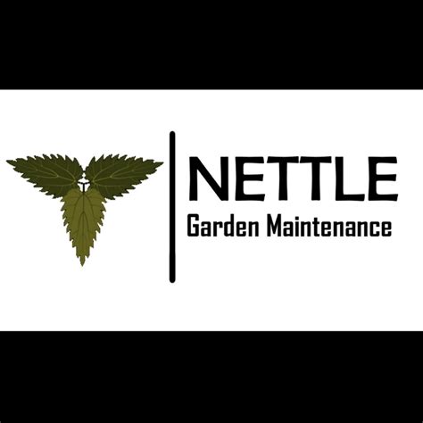 Nettle Project Youtube