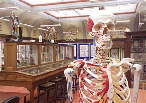 The Anatomical Museum – Colouring books blog