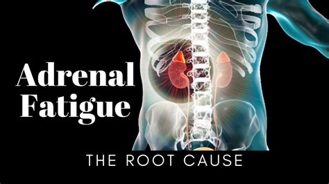 Root Causes Of Adrenal Fatigue And How To Deal With It Metaphysical