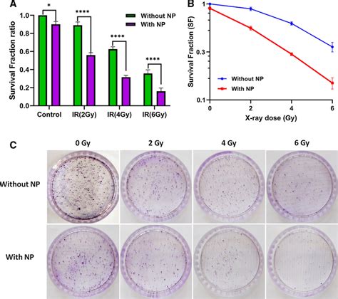 A Survival Fraction Of Ht 29 Cancer Cells Treated With The Ionizing