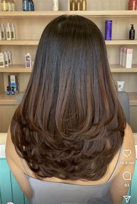 Pin By L Aura Mrn On Balayage Hairstyles For Layered Hair Medium