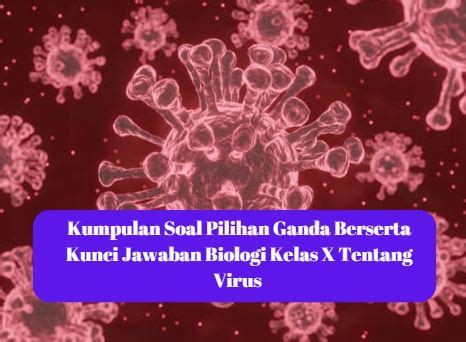 Kumpulan Soal Pilihan Ganda Berserta Kunci Jawaban Biologi Kelas X