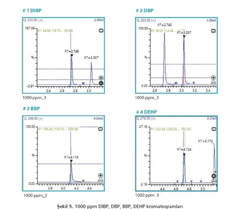 Py GCMS Analysis For RoHS Phthalate Esters Turkchem