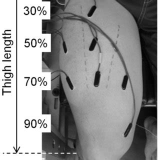 Positions Of Electromyogram Electrodes Vl Vastus Lateralis Rf