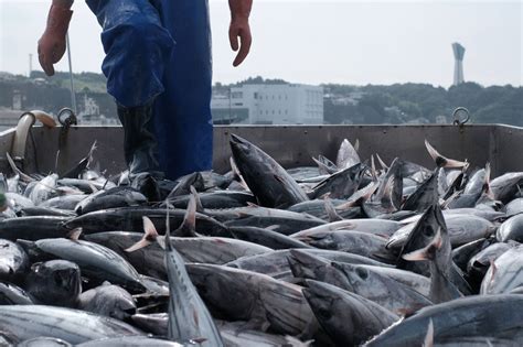 Hong Kong Ban Sends Restaurants Scrambling To Replace Japanese Seafood