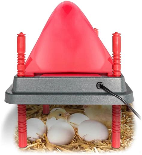 Chicken Warmer For Coop Heating Plate Of Chick Brooder Brooder With