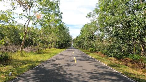 Perjalanan Darat Dari Palangkaraya Ke Buntok Part Kalimantan Tengah