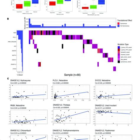 Correlation Analysis Between The Expression Of Genes In Prognostic