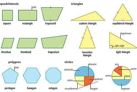 Polygones triangles et quadrilatères