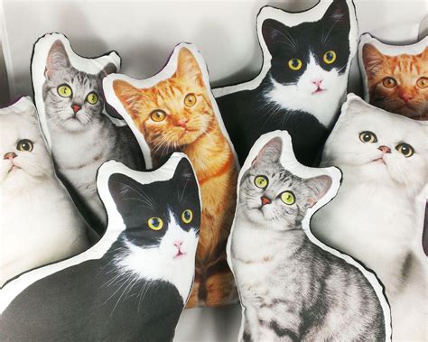 Custom Pet Pillow Custom Cat Pillow Best Cat Lover Ts Shape