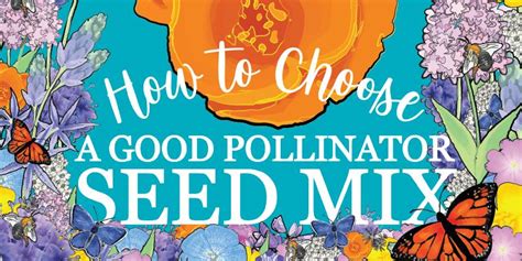 How To Choose A Good Pollinator Seed Mix Clackamas Swcd