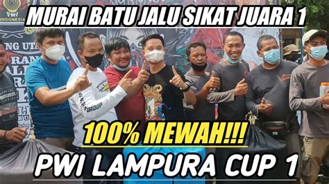 Detik Detik Murai Batu Jalu SIKAT Juara 1 DI IVENT PWI LAMPURA CUP 1