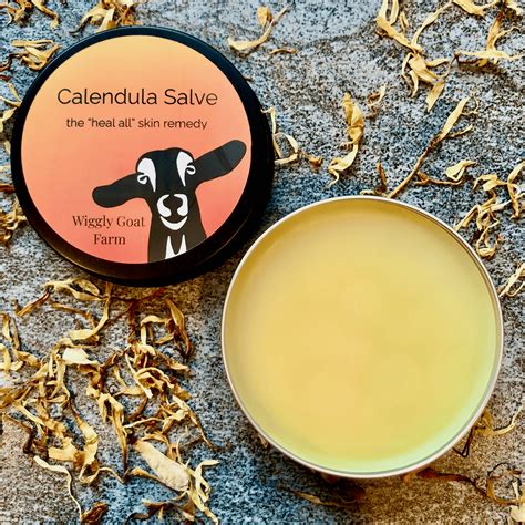 Calendula Salve Your Solution For Dry And Irritated Skin Wiggly Goat