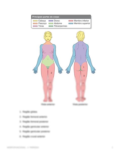 SOLUTION Terminologia Anatomica Studypool