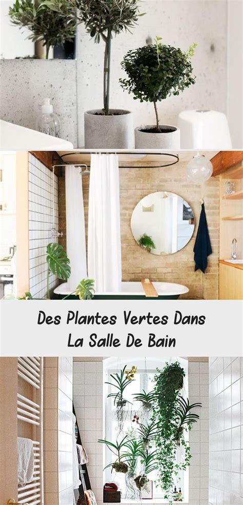 Des Plantes Vertes Dans La Salle De Bain Recettes Blog In