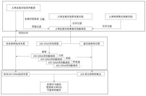 人体菌群16srdna高通量测序物种精确鉴定的优化方法与流程