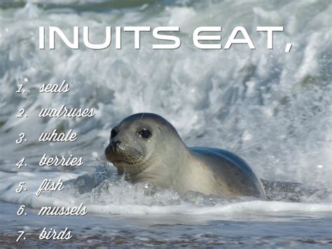 What Type Of Food Did The Inuit Tribe Eat