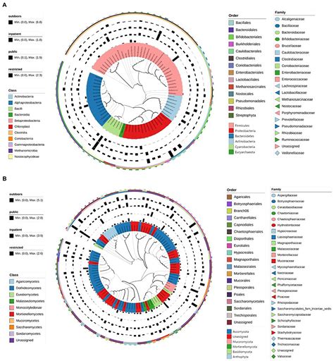 Frontiers Investigation Of Bacterial And Fungal Population Structure