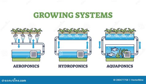 Aquaponics, Hydroponics And Aeroponics As Growing Systems Outline ...