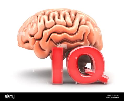 Human Brain And Sign Iq 3d Illustration Stock Photo Alamy