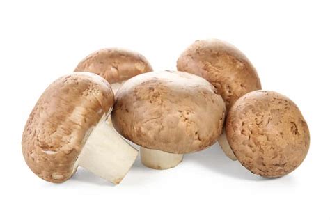 3 Best Substitutes For Cremini Mushroom Miss Vickie