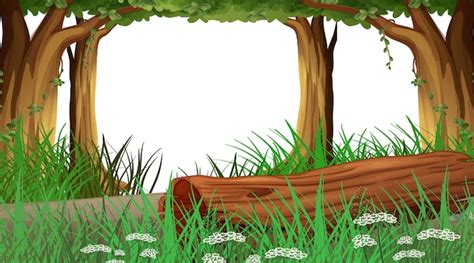 Free Vector | Empty background nature scenery