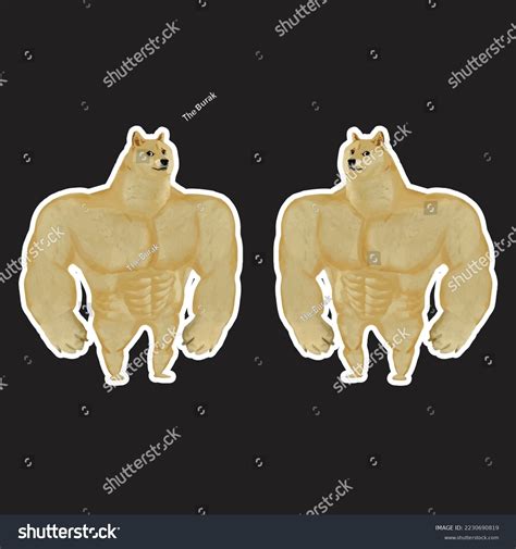 Vektor Stok Swole Doge Meme Dog Bodybuilder Doge Tanpa Royalti