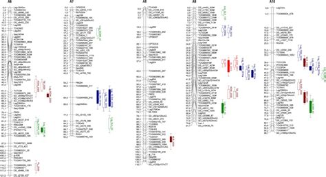 Genetic Mapping Of Resistance To Meloidogyne Arenaria In Arachis