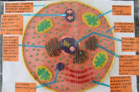 Cikgu Nurul Membina Model Sains Menggunakan Plastisin