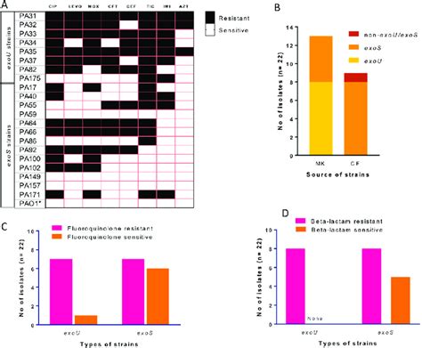 Antibiotic Susceptibility Patterns And Possesion Of Exou And Exos