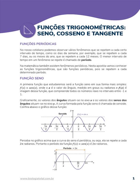 Funções Trigonométricas I Pdf Trigonometria Função Matemática