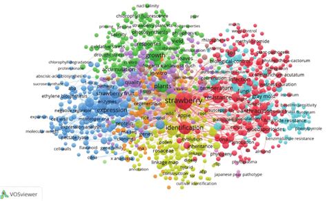 Vosviewer Co Occurrence Network Visualisation Mapping Of Most Frequent