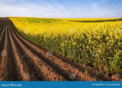 Rural art stock image. Image of cyclist, artwork, culture - 100859321