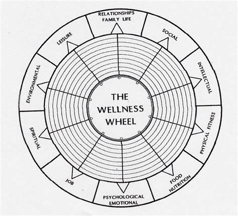 Wellness Wheel Wellness Wheel Wellness Wheel Of Life